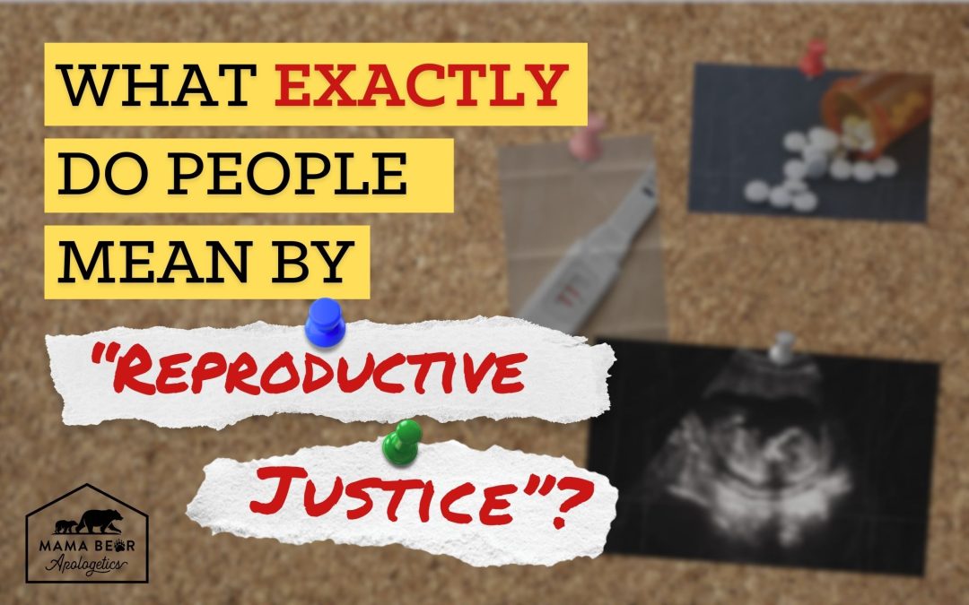 What Do People Mean When They Say “Reproductive Justice”?