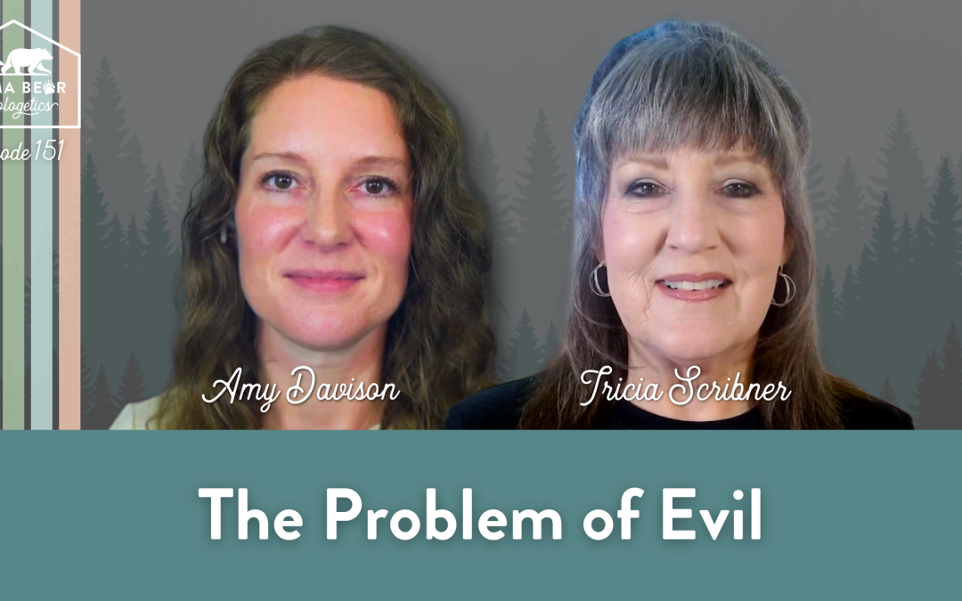151. The Problem of Evil