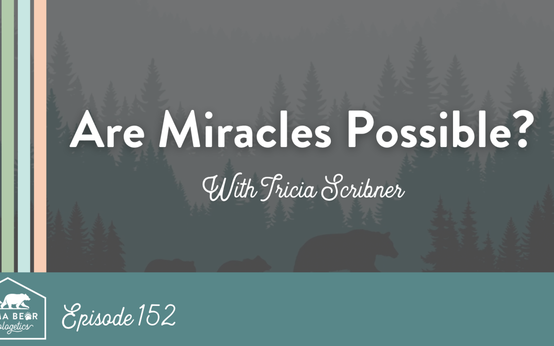 152. Are Miracles Possible?